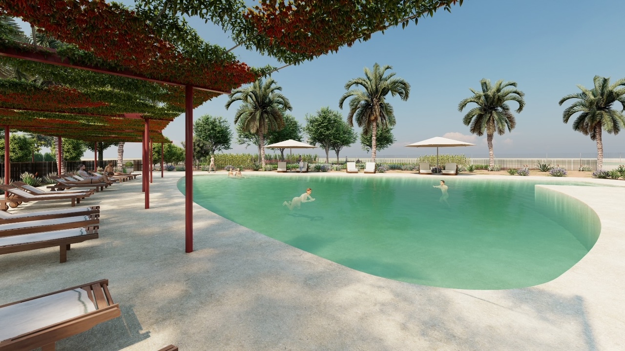 Piscina tipo playa con pérgola y palmeras
